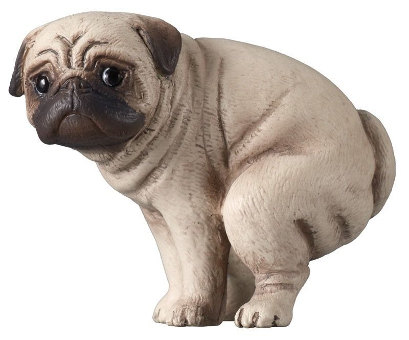 楽天市場】パグ（コレクション｜ホビー）の通販