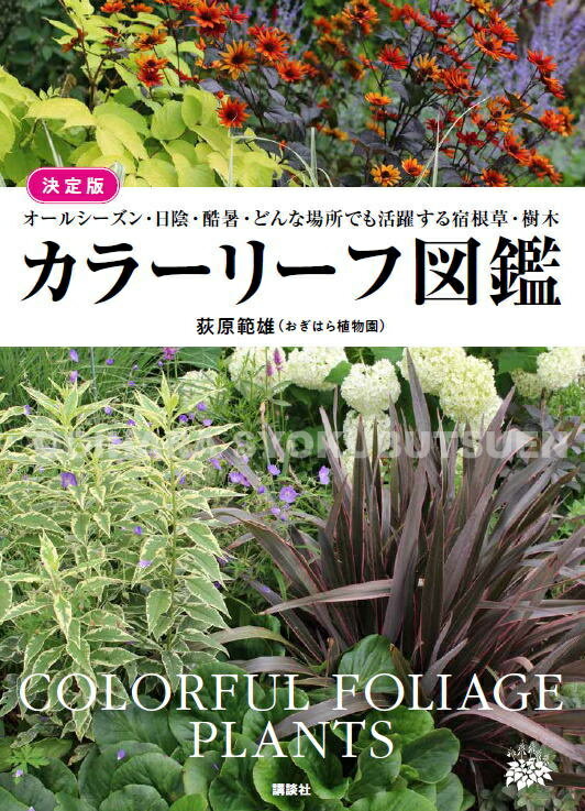 楽天市場】ギボウシ 図鑑の通販