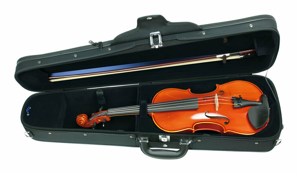 楽天市場】イーストマン バイオリン vl80の通販