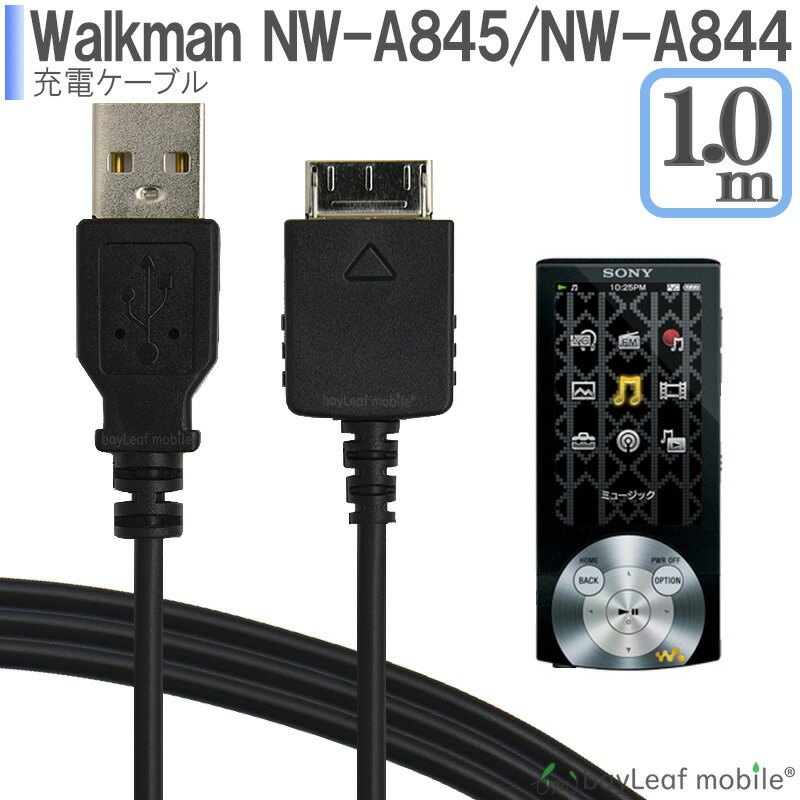 walkman-cable.jpg