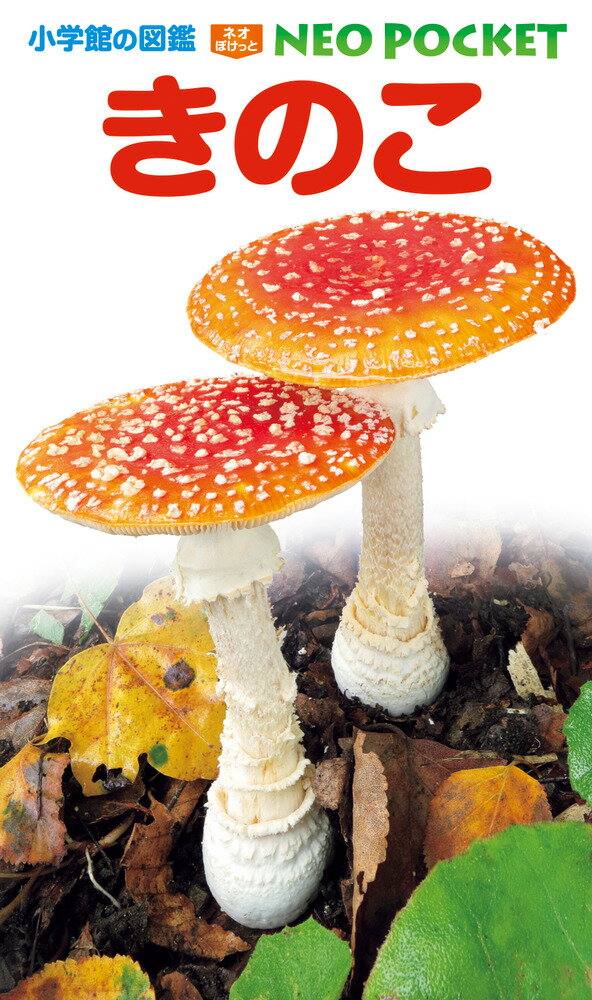 楽天市場】新版 北陸のきのこ図鑑（本・雑誌・コミック）の通販