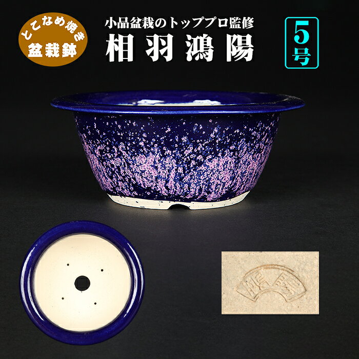 楽天市場】鴻陽 鉢の通販