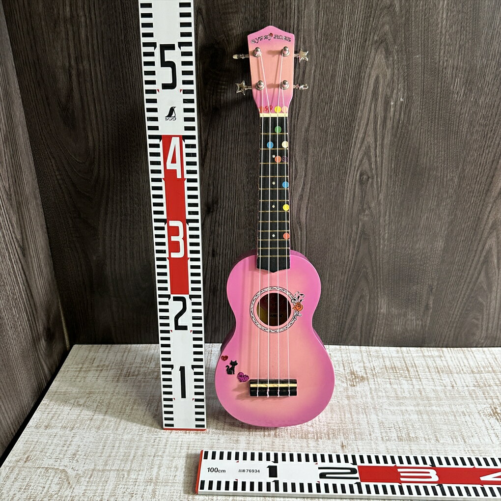 楽天市場】ジプシーローズ ギターの通販