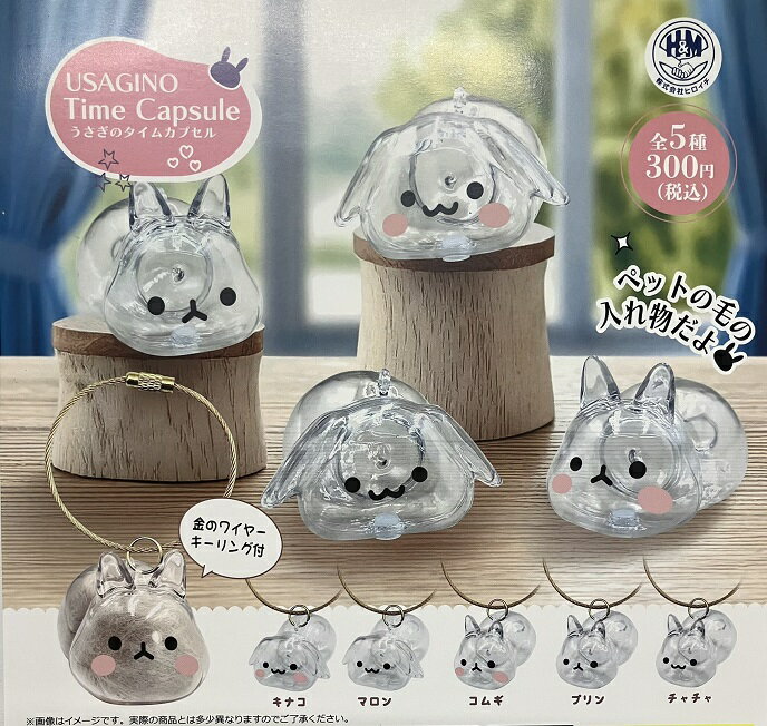 楽天市場】タイムカプセルの通販