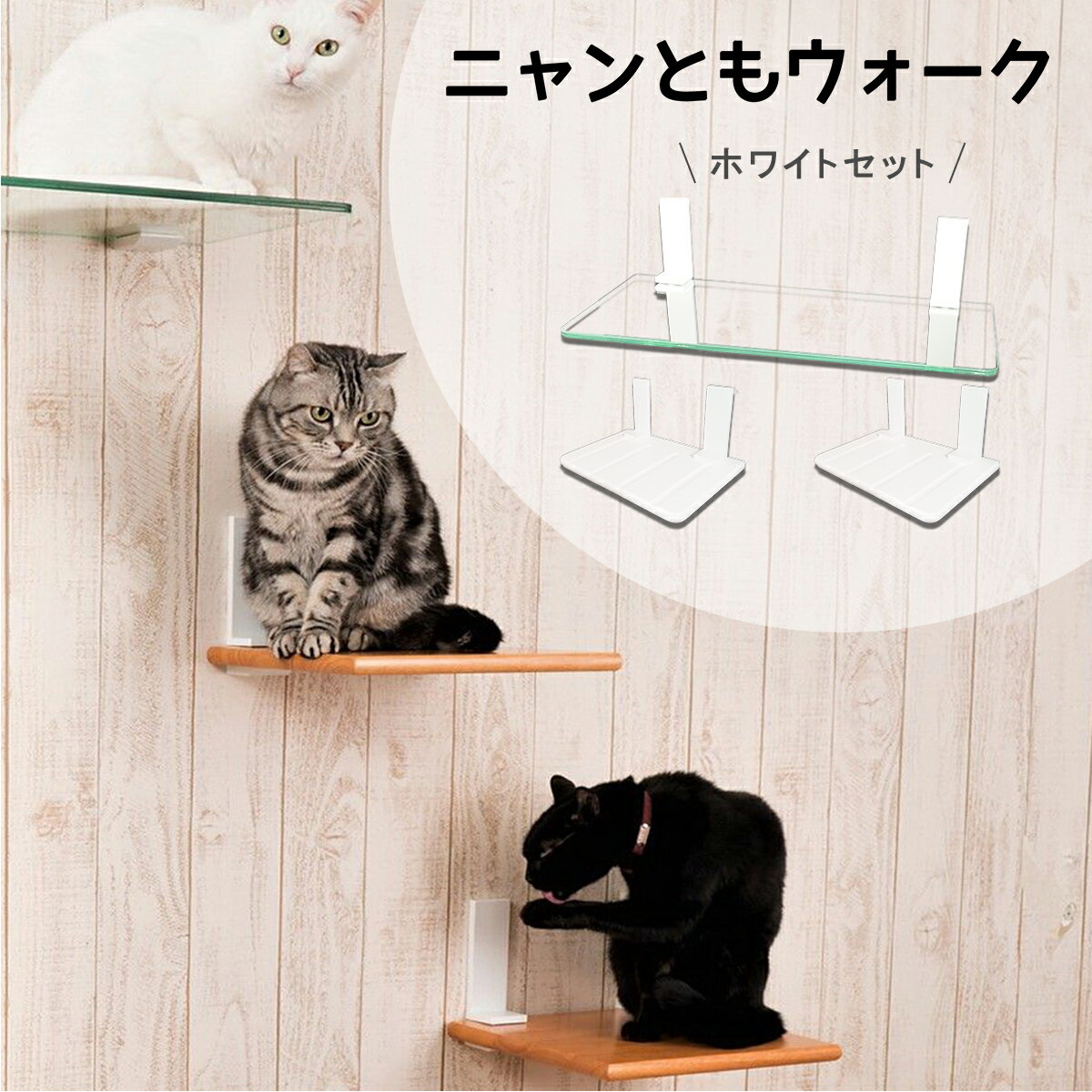 楽天市場】キャット ステップ 白の通販