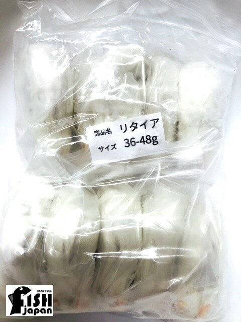 楽天市場】冷凍 マウス リタイアの通販