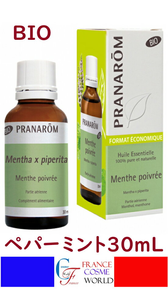 楽天市場】プラナロムペパーミントの通販