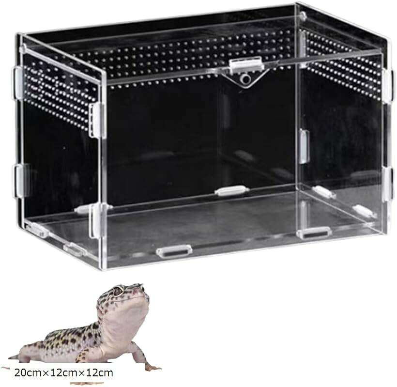 楽天市場】水槽セット（爬虫類・両生類｜ペット・ペットグッズ）の通販