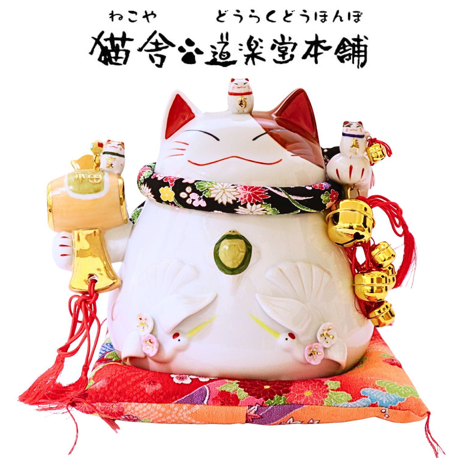 楽天市場】道楽堂猫舎本舗の通販