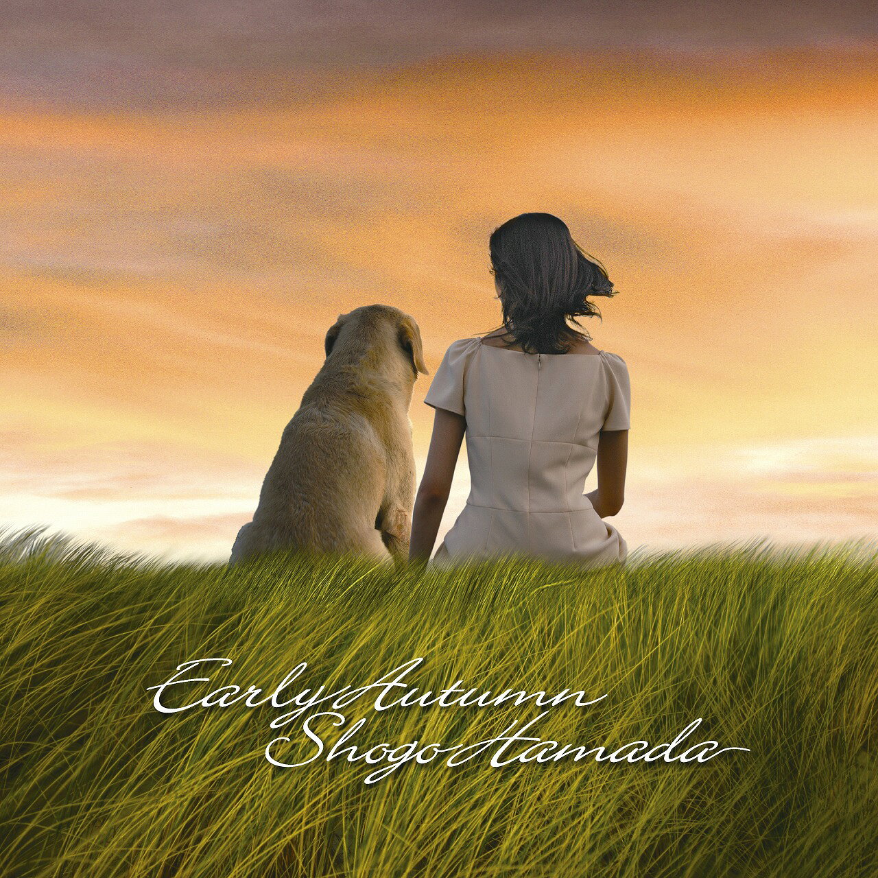 楽天市場】浜田省吾 My First Love（レコード｜CD・DVD）の通販