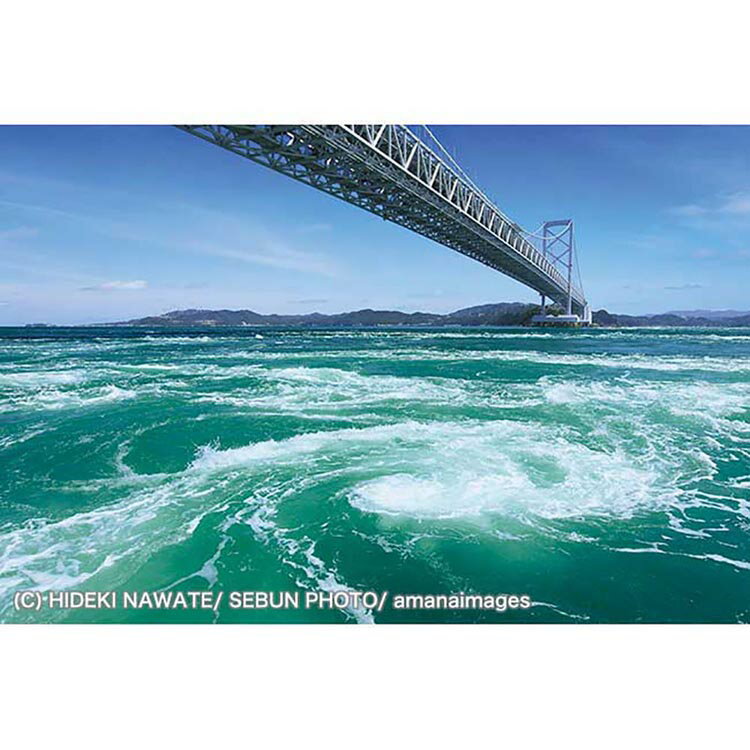 楽天市場】西尾維新大辞展（パズル｜ホビー）の通販