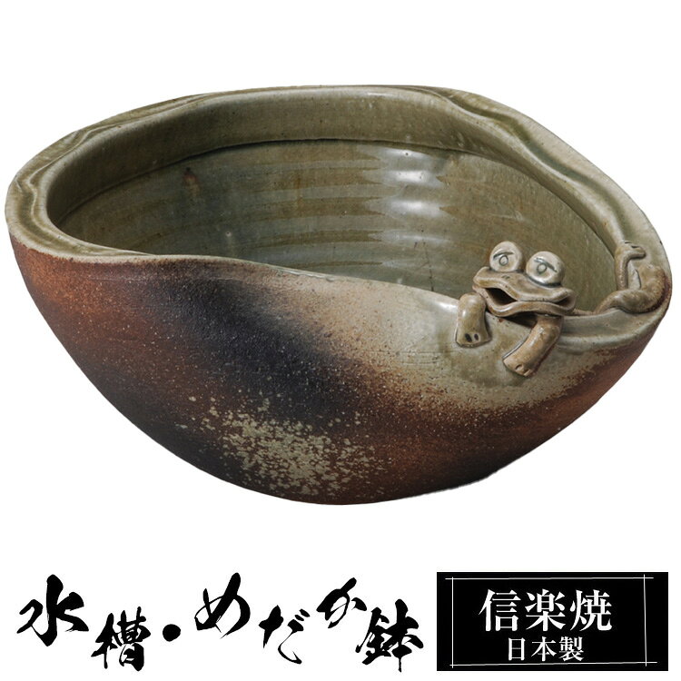 楽天市場】めだか 壺の通販