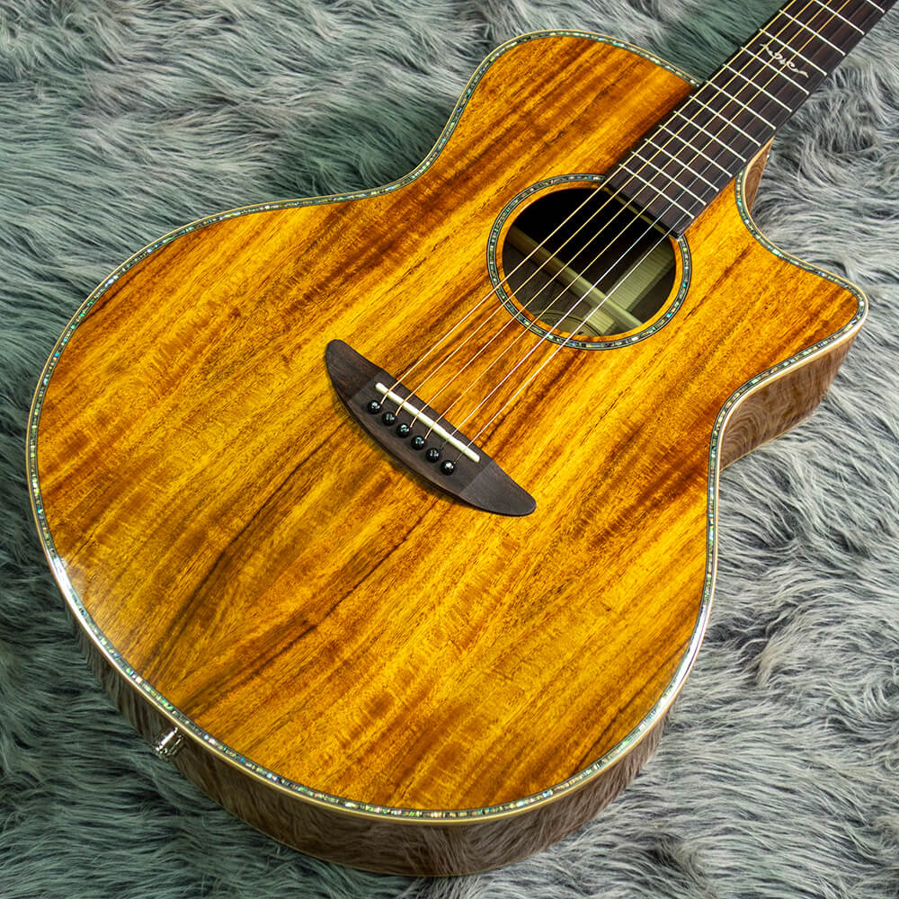 楽天市場】dct ギターの通販