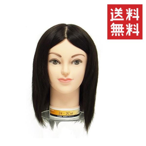 楽天市場】カットウィッグ 24－12－13の通販