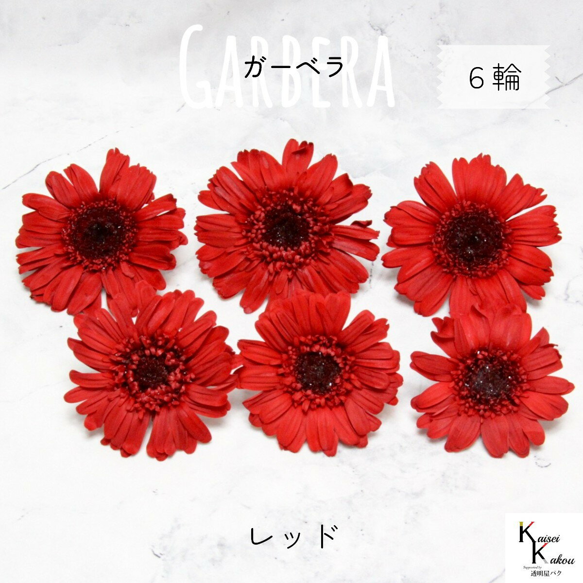 楽天市場】ガーベラ（植物の本数6本）の通販