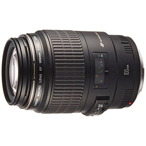 楽天市場】ef100mm f2 8l マクロ is usmの通販