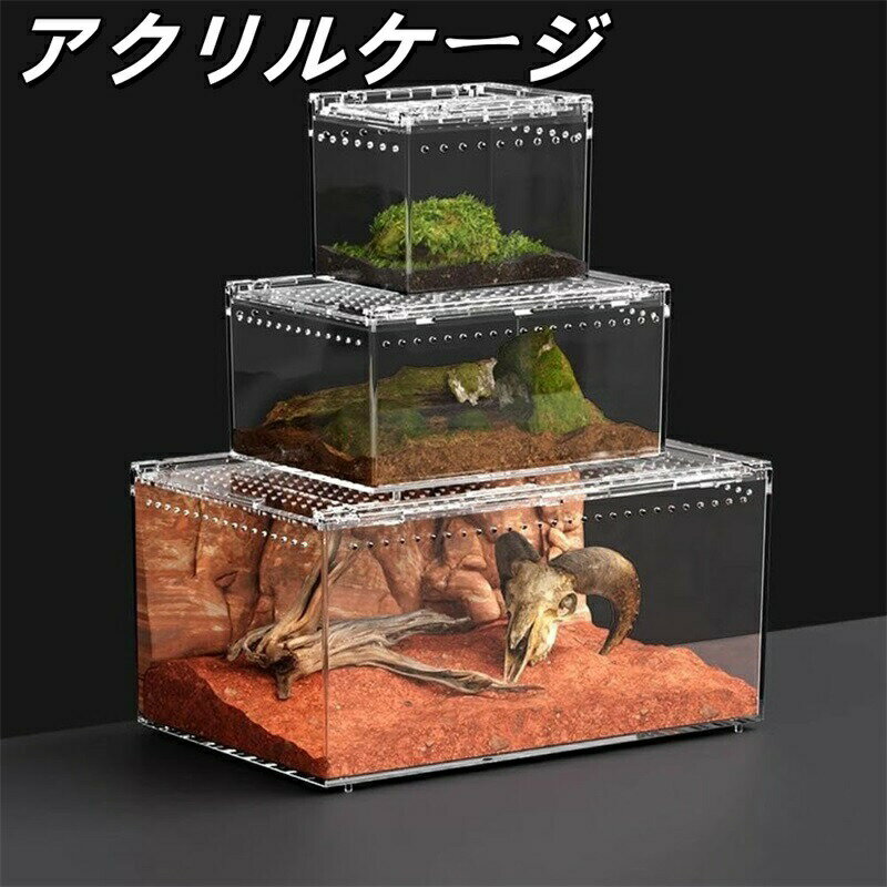 楽天市場】爬虫類 ケージ 40 40 30（その他｜爬虫類・両生類）：ペット