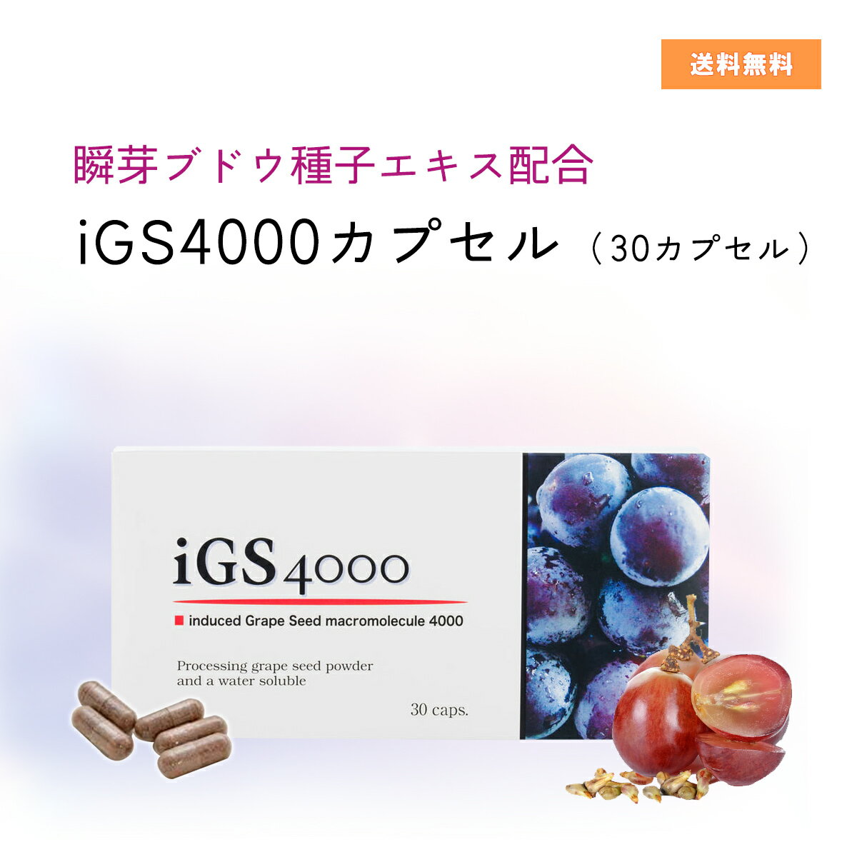 楽天市場】igs4000 ジェルの通販