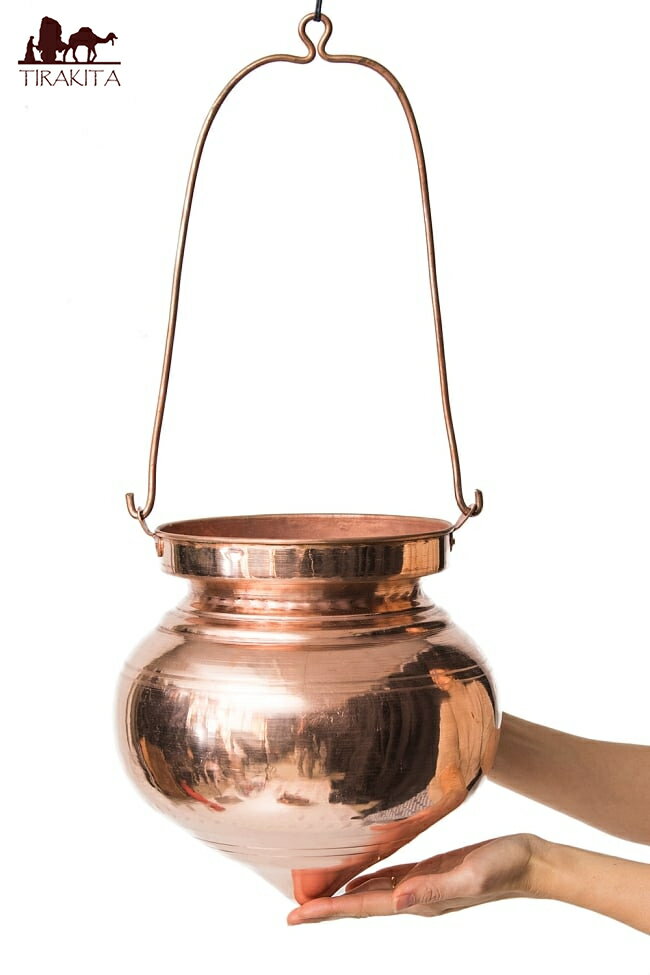 楽天市場】シロダーラ ポットの通販