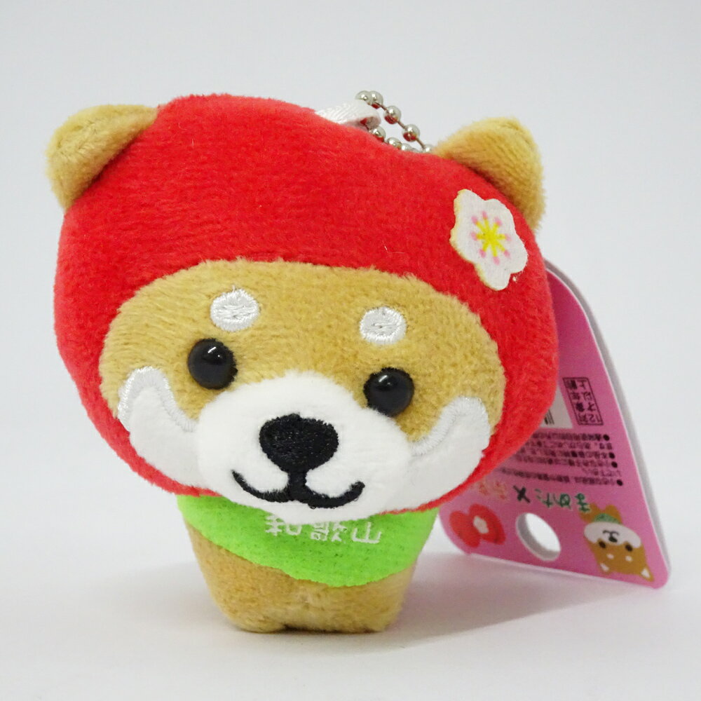 楽天市場】持ち歩きペラペラ和歌山弁の通販