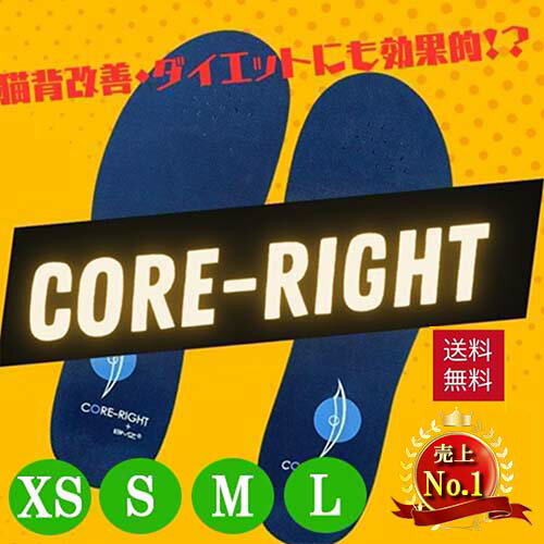 楽天市場】立方骨の通販