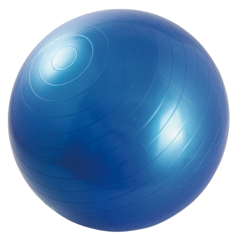 楽天市場】テクノジム バランス ボールの通販