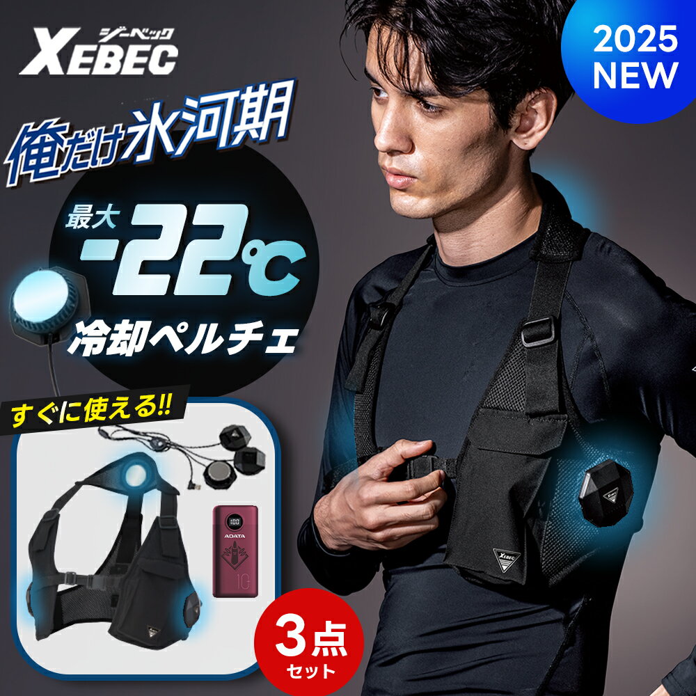 楽天市場】ワークマン ペルチェベストの通販