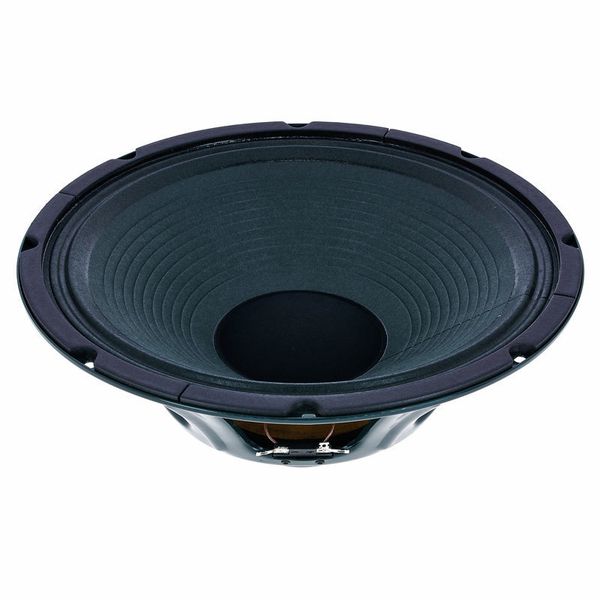 Jensen N12K 12'' Vintage Neodymium – United States