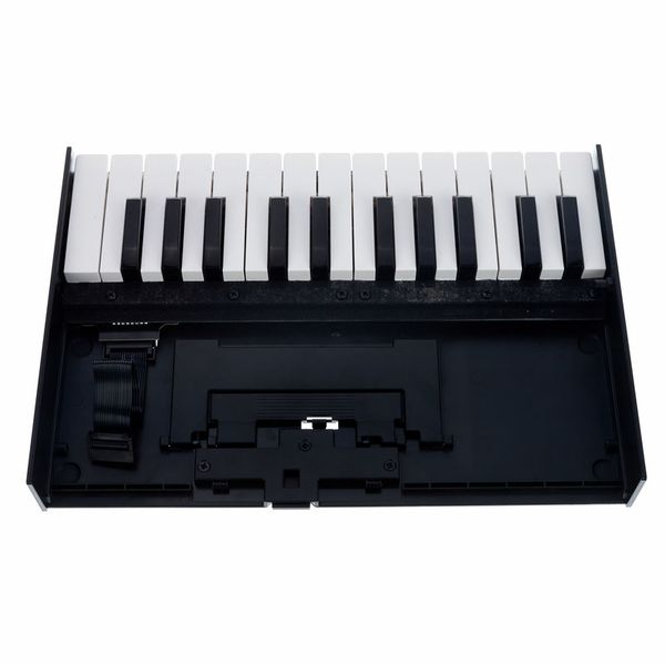 Roland Boutique K-25m Keyboard – United States