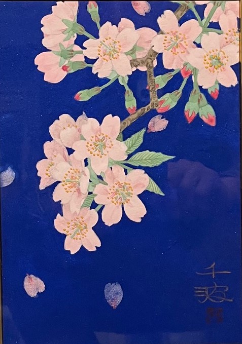 中島千波 CHINAMI NAKAJIMA