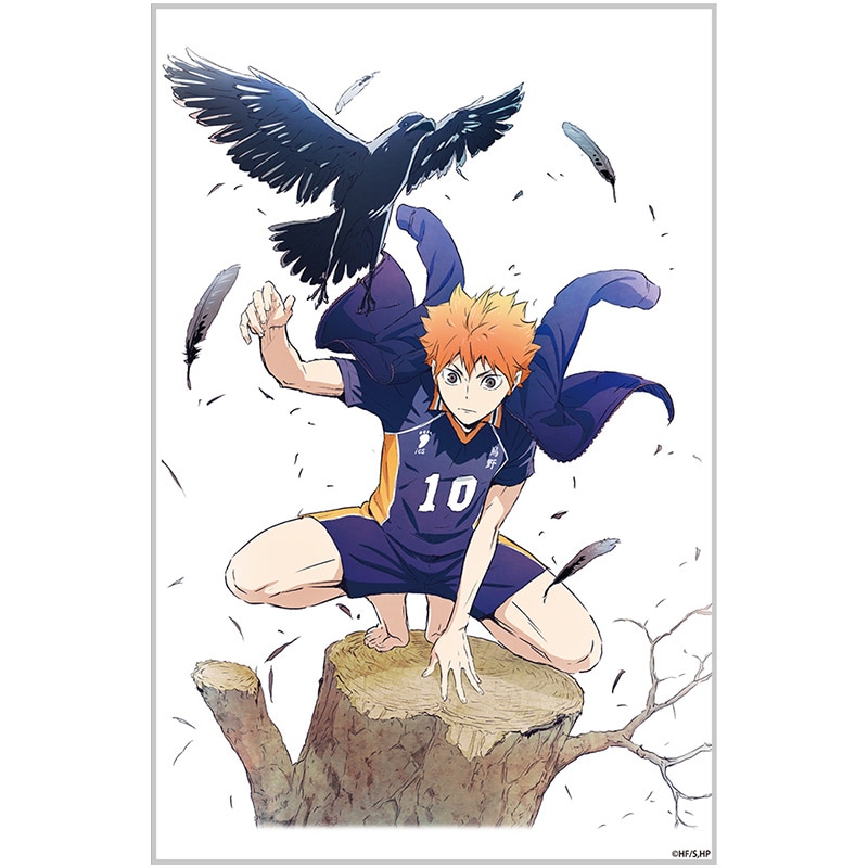 公式オンラインストアハイキュー!! 日向翔陽 アクリルアートスタンド