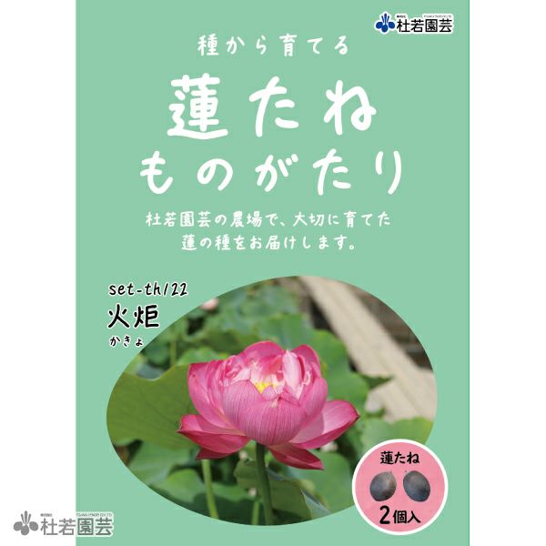 蓮（ハス）の種子の通販（販売） | 杜若園芸WEBショップ｜水草の生産