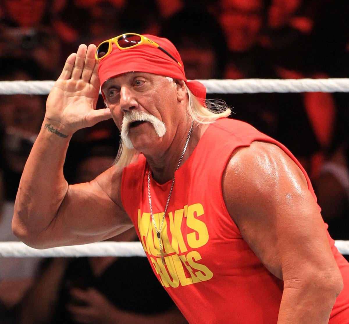 写真：ハルク・ホーガンに深刻な異常「下半身の神経切り取られた