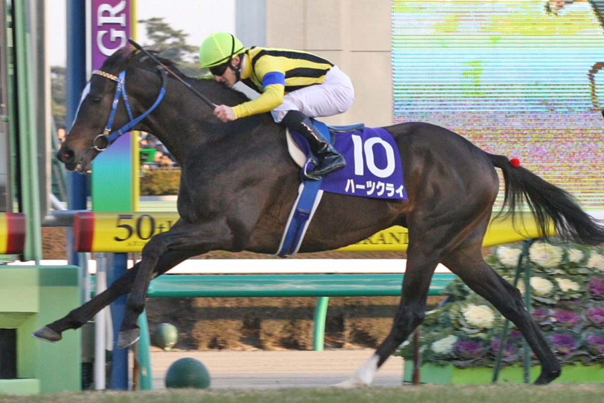ハーツクライが残した〝衝撃の3戦〟 心の叫びは永遠に… | 競馬