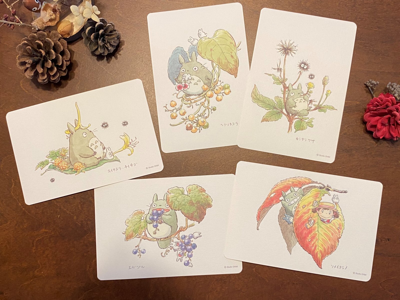 ポストカード,カード,トトロ,文房具