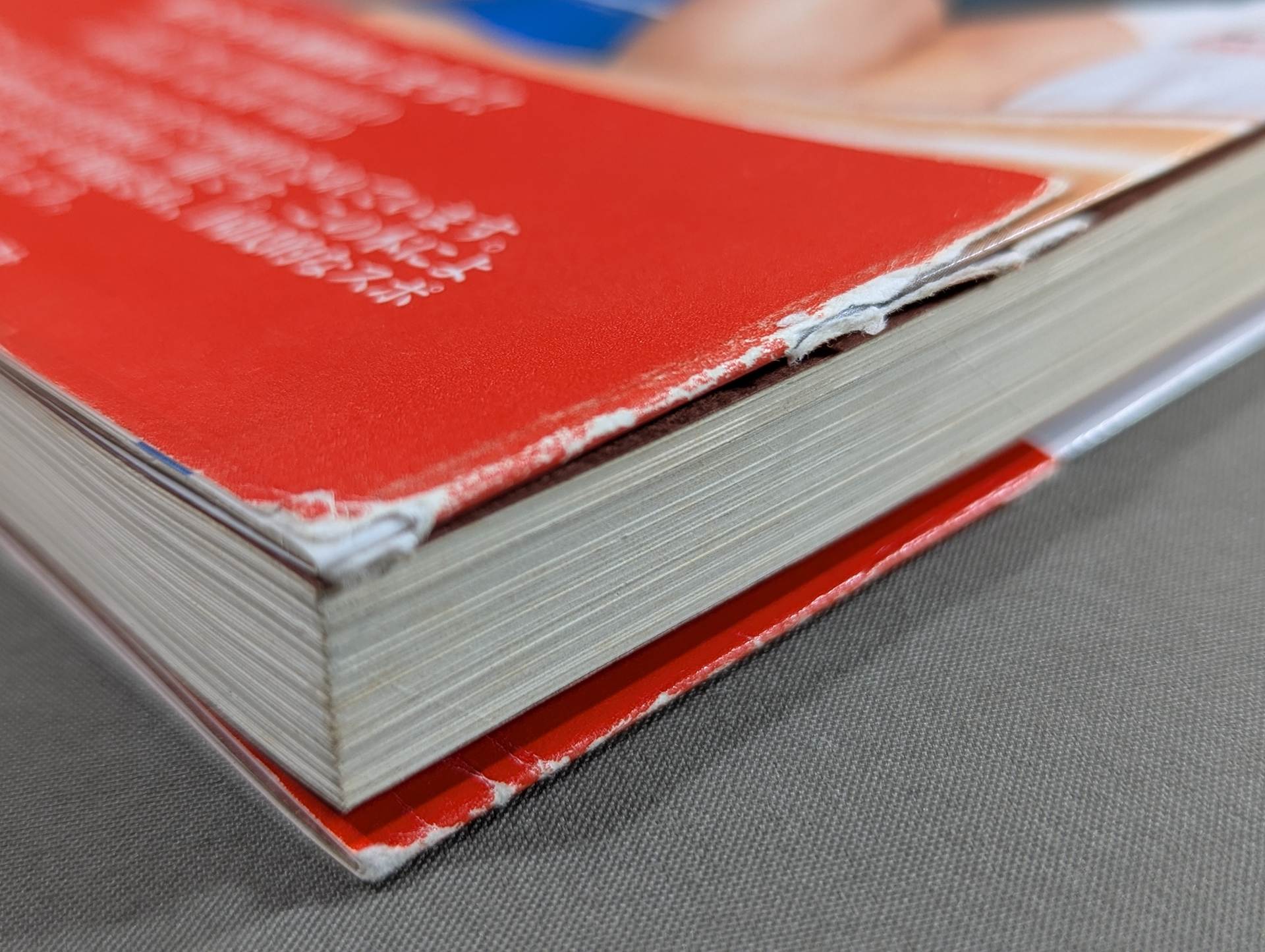 これがアームレスリングだ!! – 闘道館