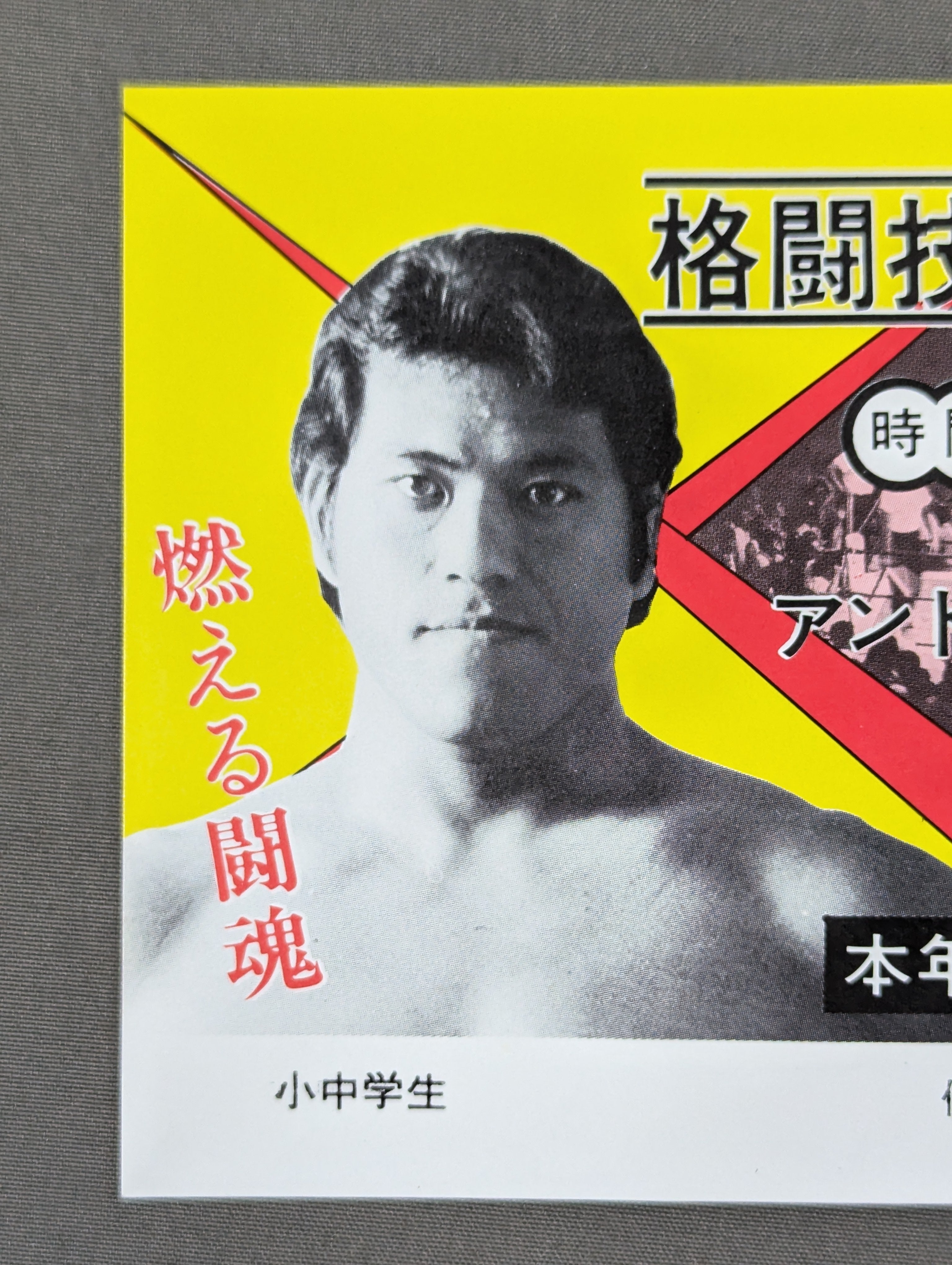 ☆格闘技世界一決定戦☆ アントニオ猪木vsウイリエム・ルスカ – 闘道館