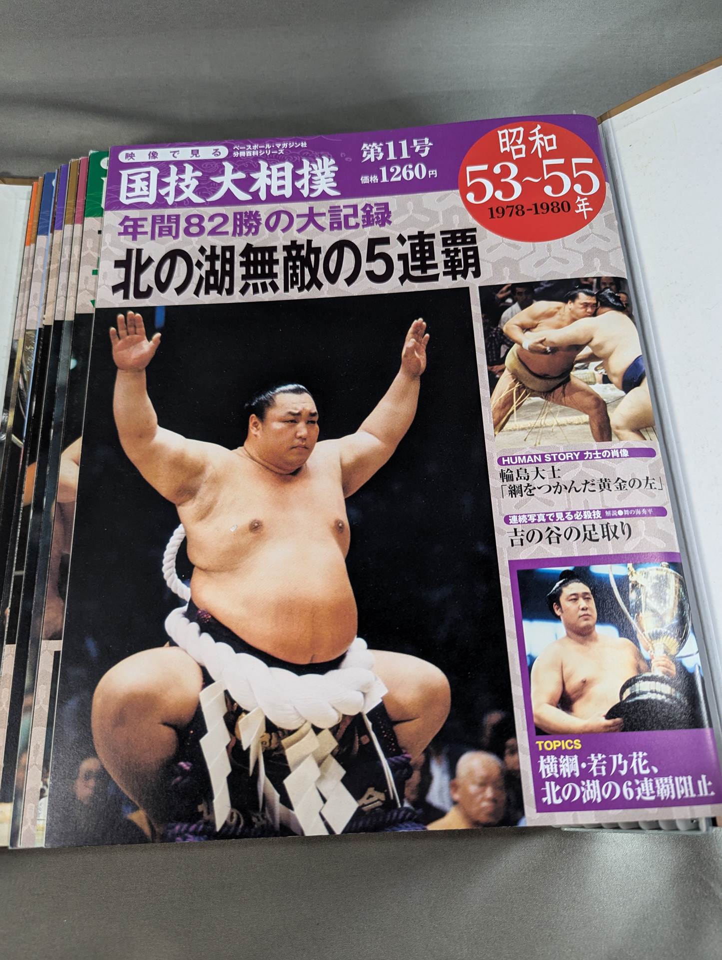 冊子 全20巻セット】映像で見る国技大相撲 – 闘道館