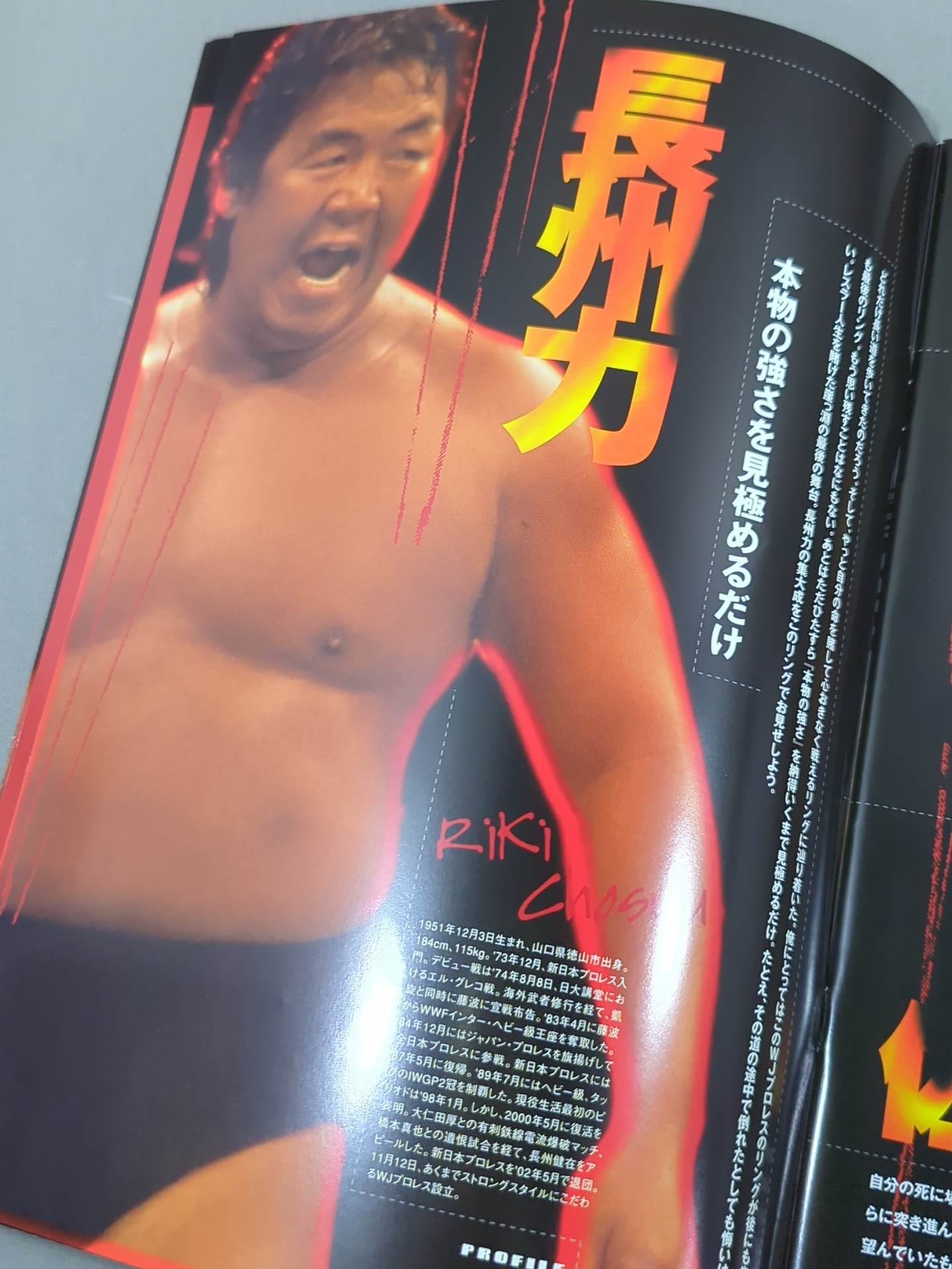 WJプロレス 旗揚げシリーズ MAGMA01 – 闘道館