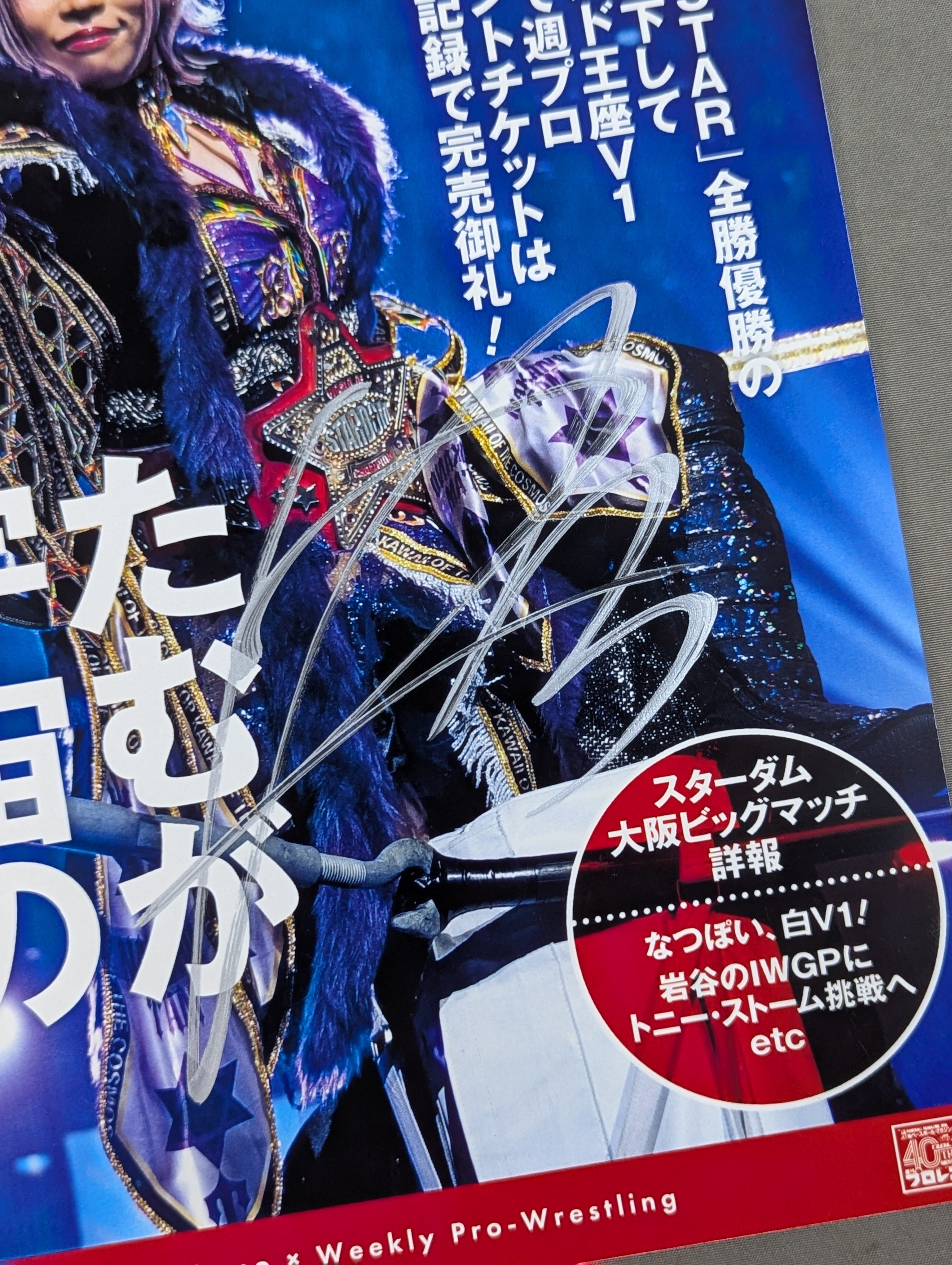 中野たむ×週刊プロレス 直筆サイン入り ポートレート① – 闘道館