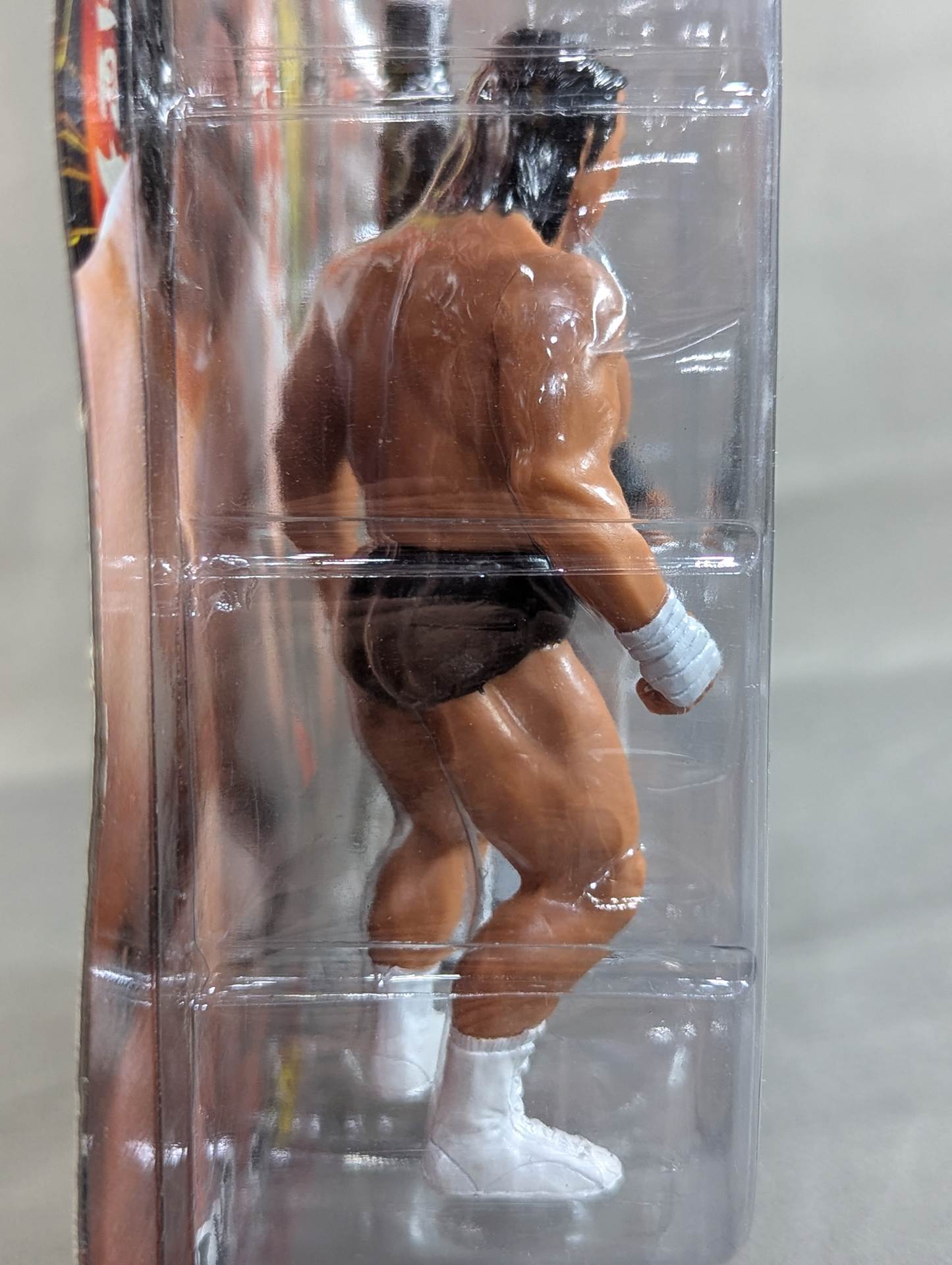 ☆要望書付☆ 長州力vs大仁田厚 – 闘道館