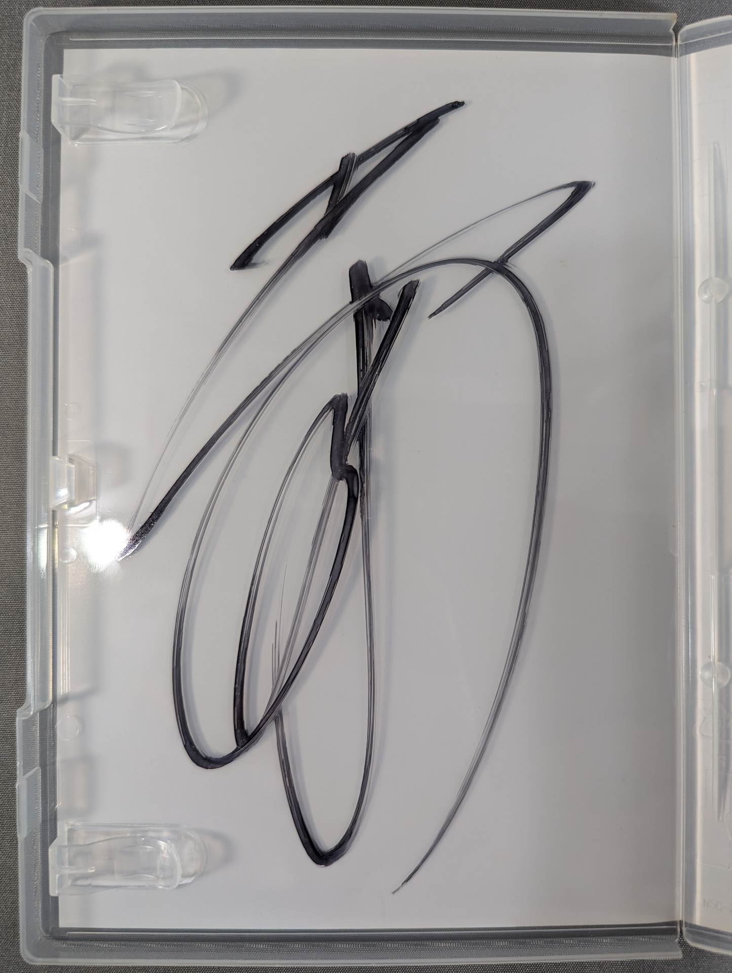 直筆サイン入り】 華名 マニュフェスト – 闘道館