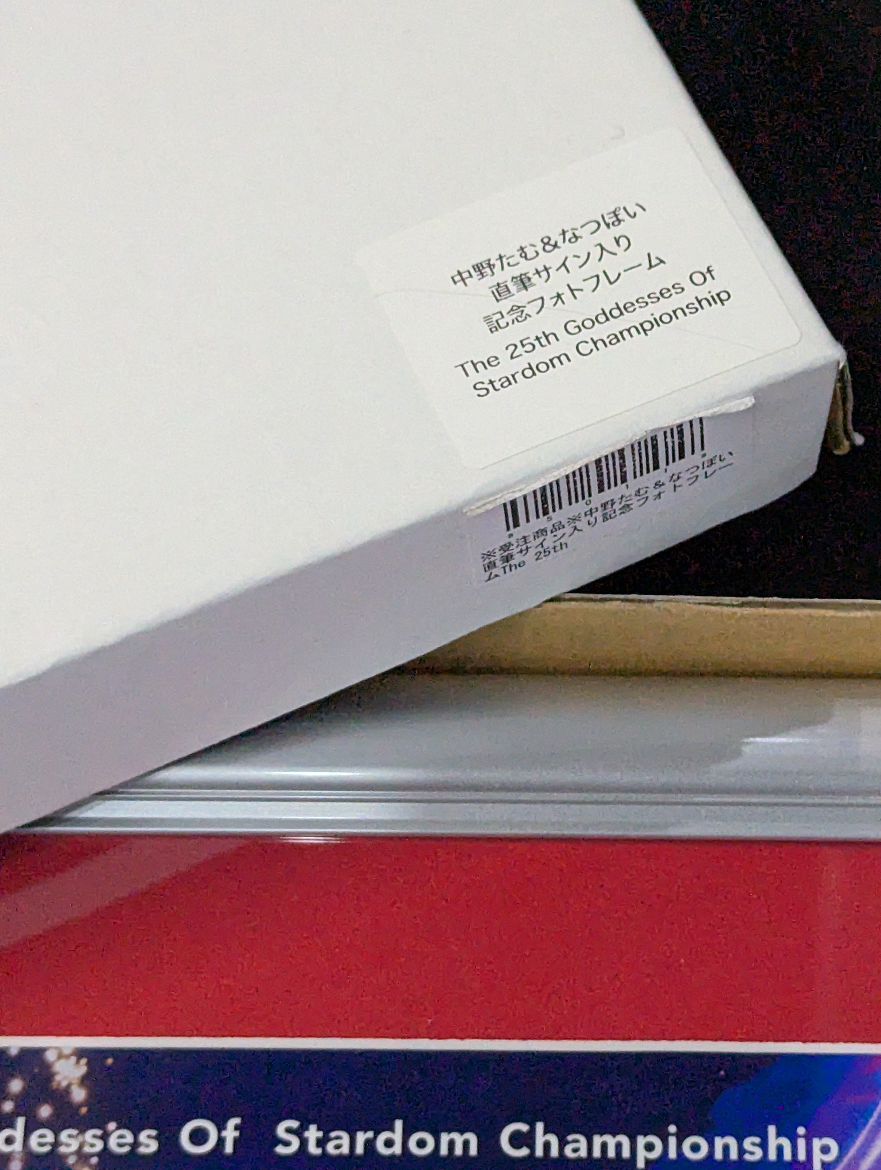 中野たむ＆なつぽい 直筆Wサイン入り 記念フォトフレーム Goddesses Of