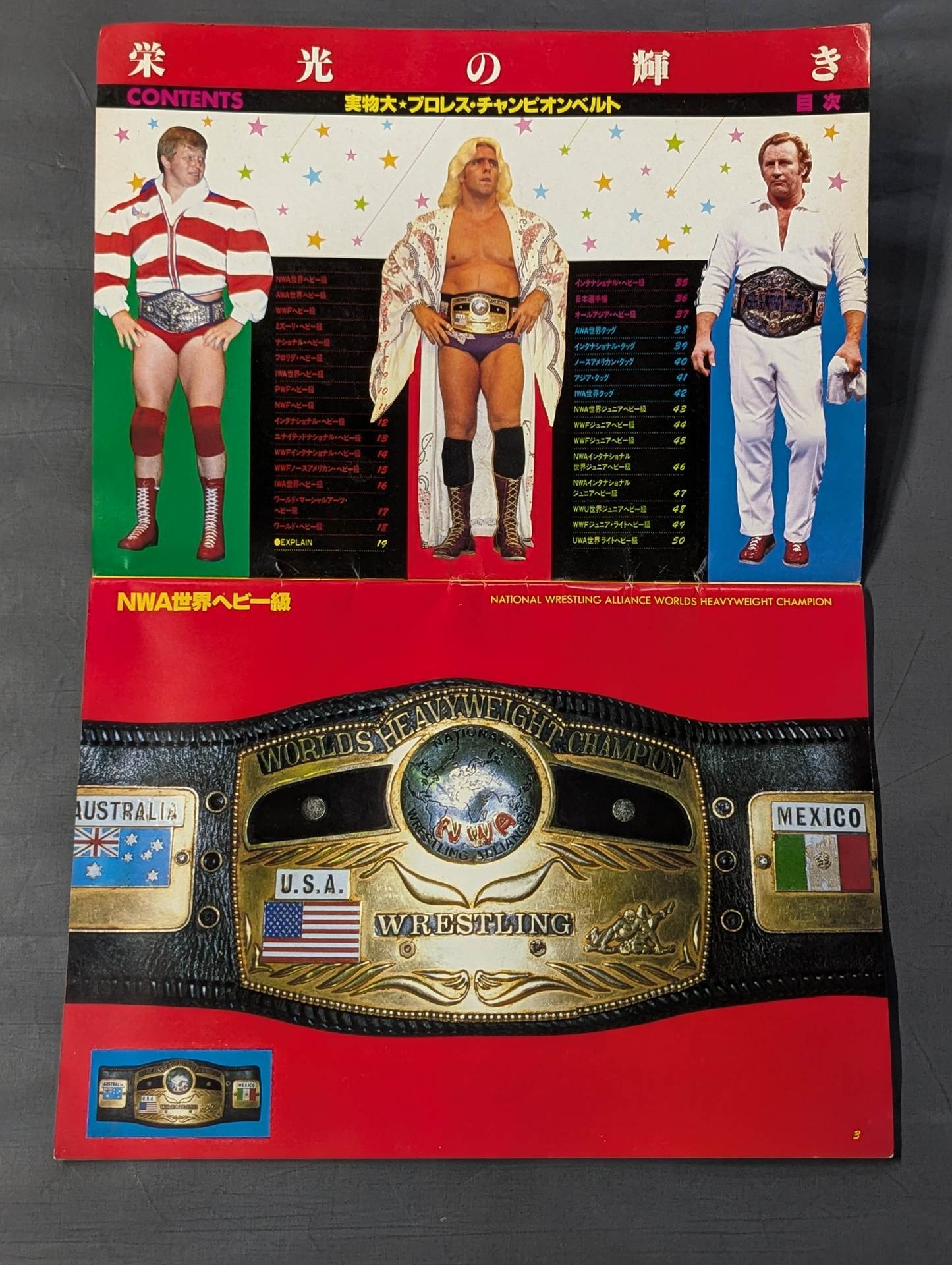 ☆実物大☆ 栄光の輝き プロレスチャンピオンベルト – 闘道館