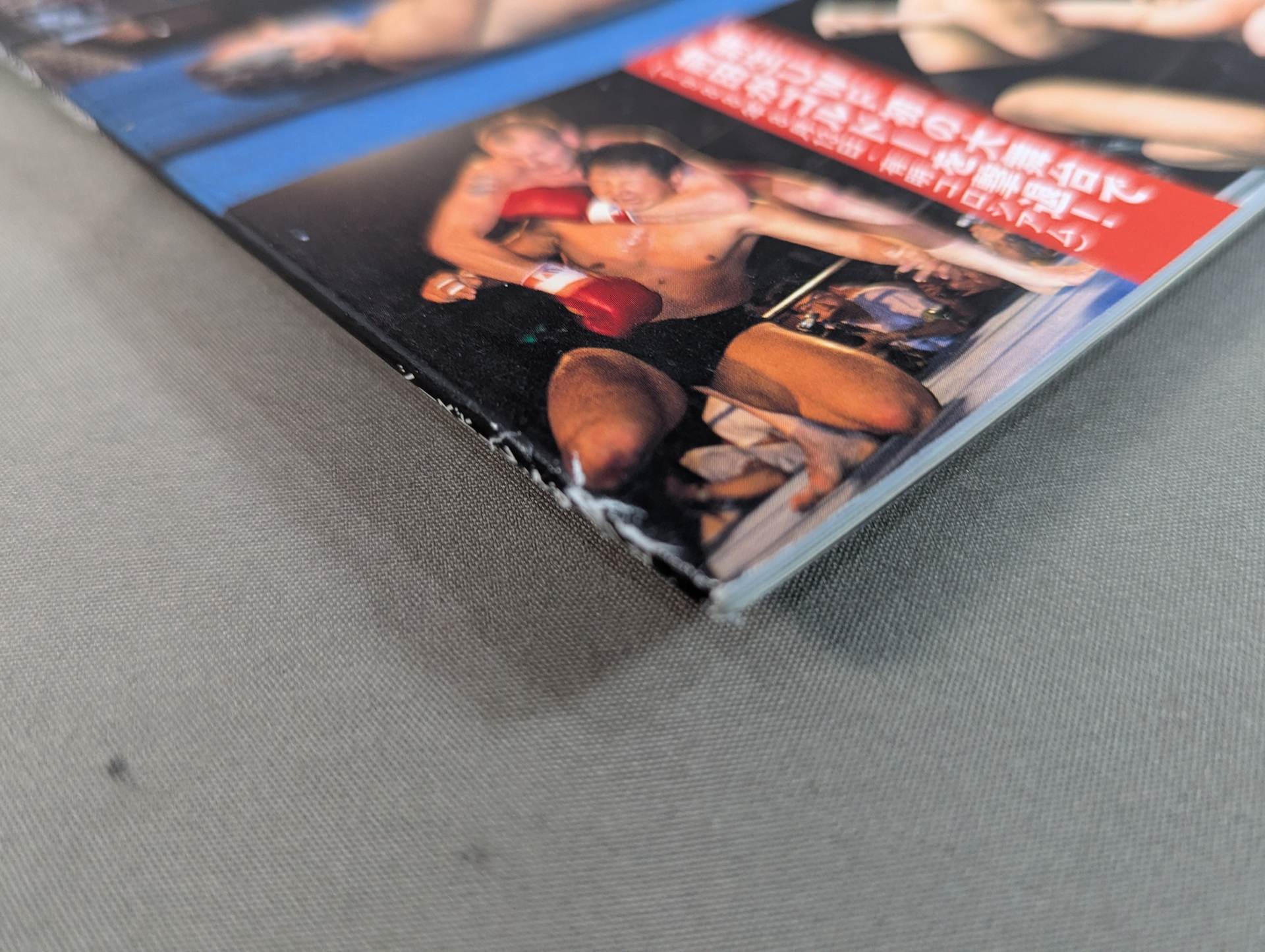 日本プロレス激闘60年史 (10) – 闘道館