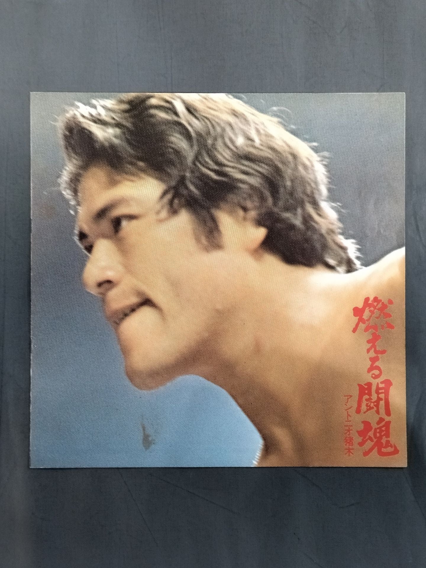 燃える闘魂 アントニオ猪木 – 闘道館