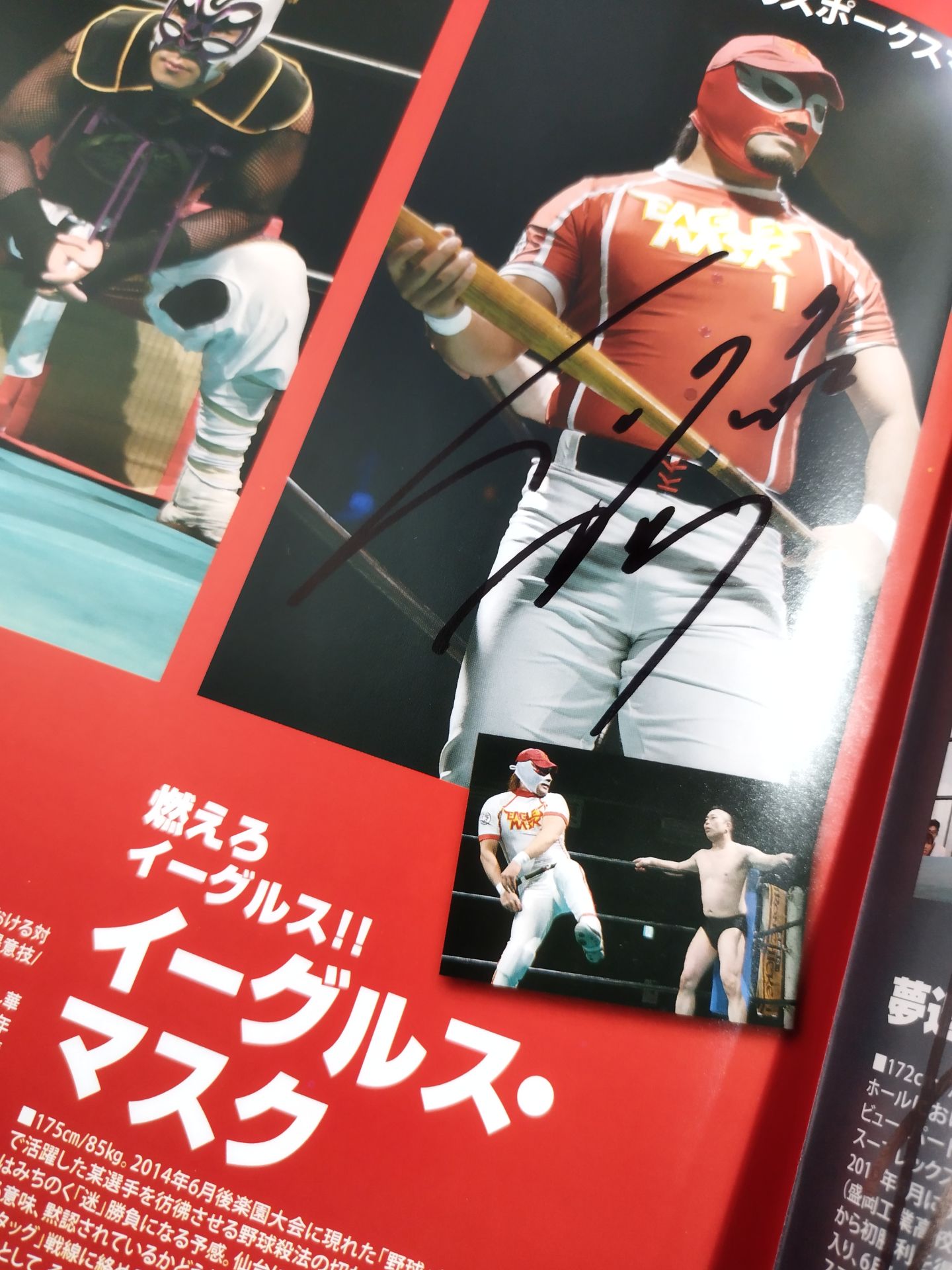 8選手直筆サイン入り】みちのくプロレス オフィシャルパンフレット Vol