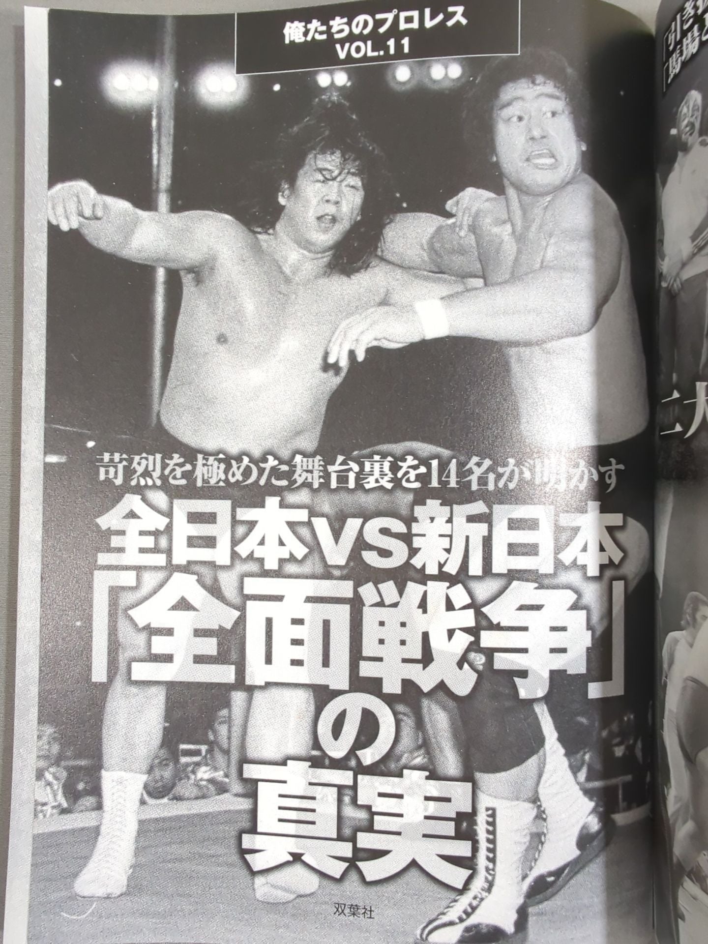 俺たちのプロレス VOL.11 「全日本vs新日本」苛烈を極めた全面戦争の