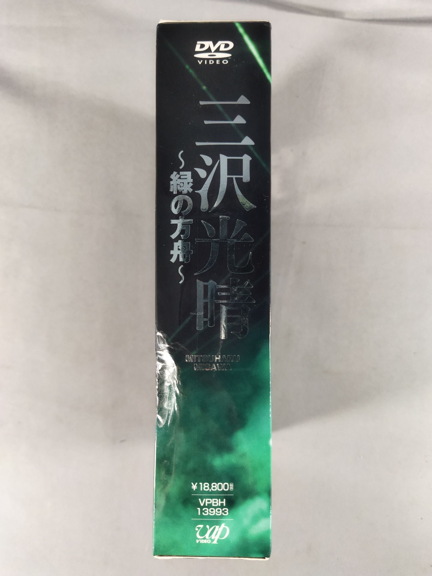 三沢光晴 ～緑の方舟～ – 闘道館