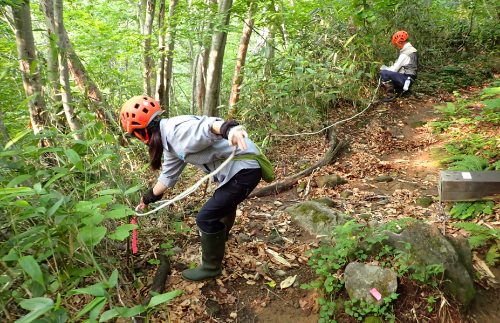 自然公園財団十和田支部｜十和田ビジターセンター公式サイト